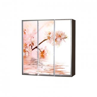 ШКАФ-КУПЕ «ДОЛАП 2»  