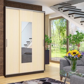 ШКАФ-КУПЕ «ШОН-3» 