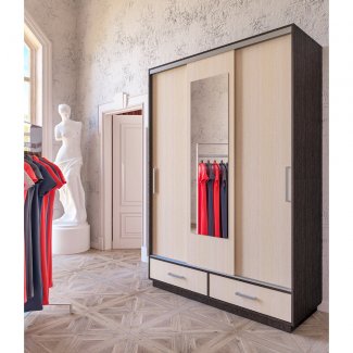 ШКАФ-КУПЕ «ШОН-5»   