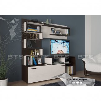 Гостиный комплект «ЕВРО»    